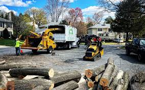Best Lawn Irrigation Installation and Maintenance  in Perth Amboy, NJ
