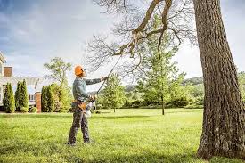 Best Utility Line Clearance  in Perth Amboy, NJ