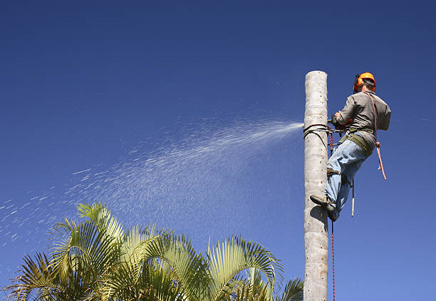 Lawn Irrigation Installation and Maintenance in Perth Amboy, NJ