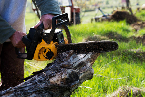 Best Soil Testing and Treatment  in Perth Amboy, NJ